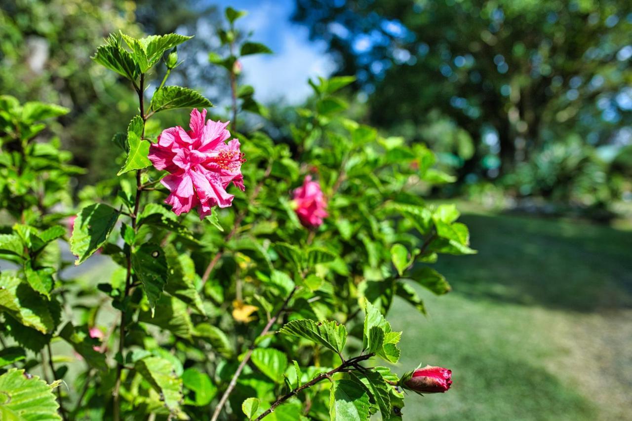 Hotel Villa Zurqui San Isidro  Dış mekan fotoğraf