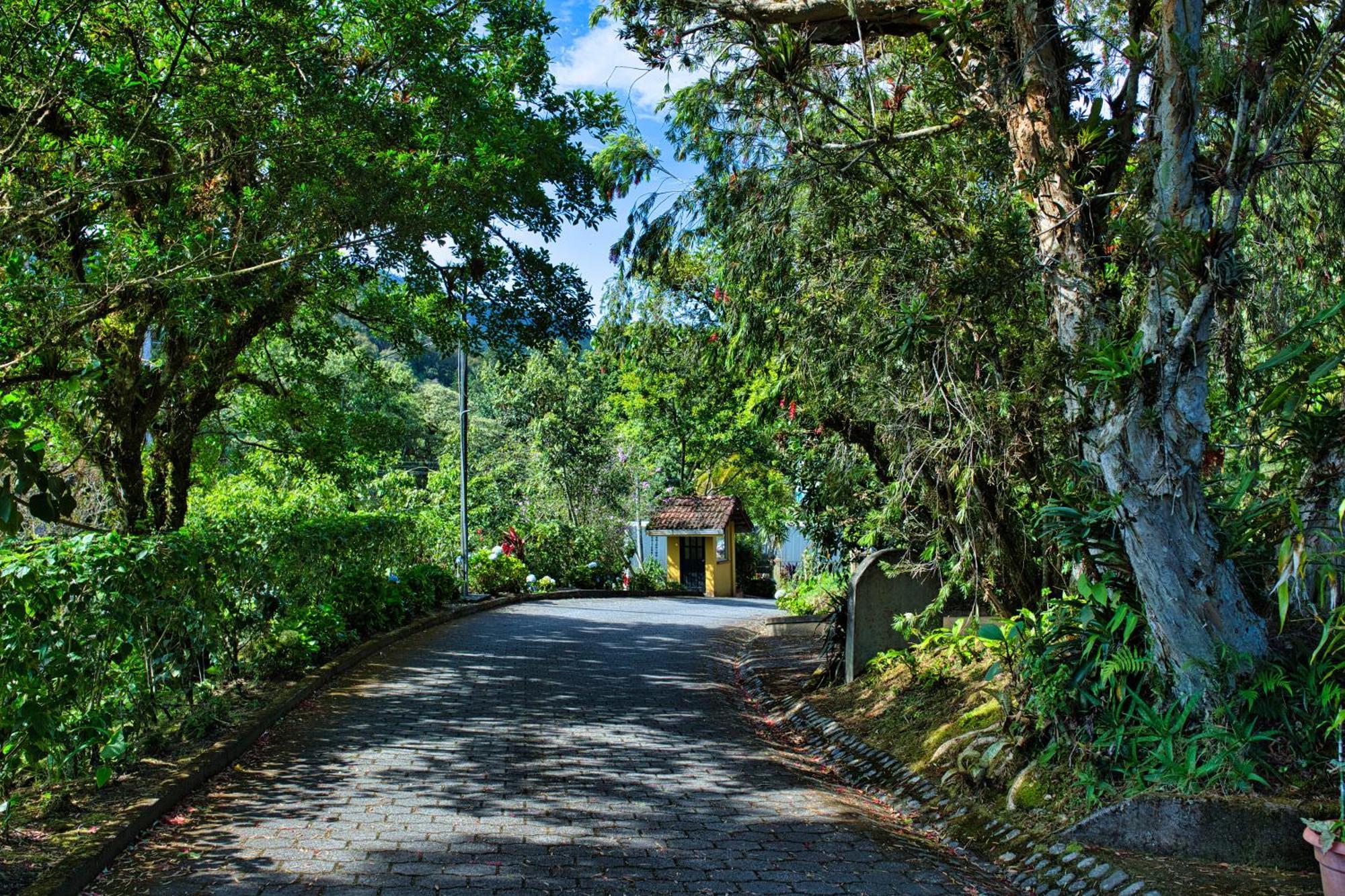 Hotel Villa Zurqui San Isidro  Dış mekan fotoğraf
