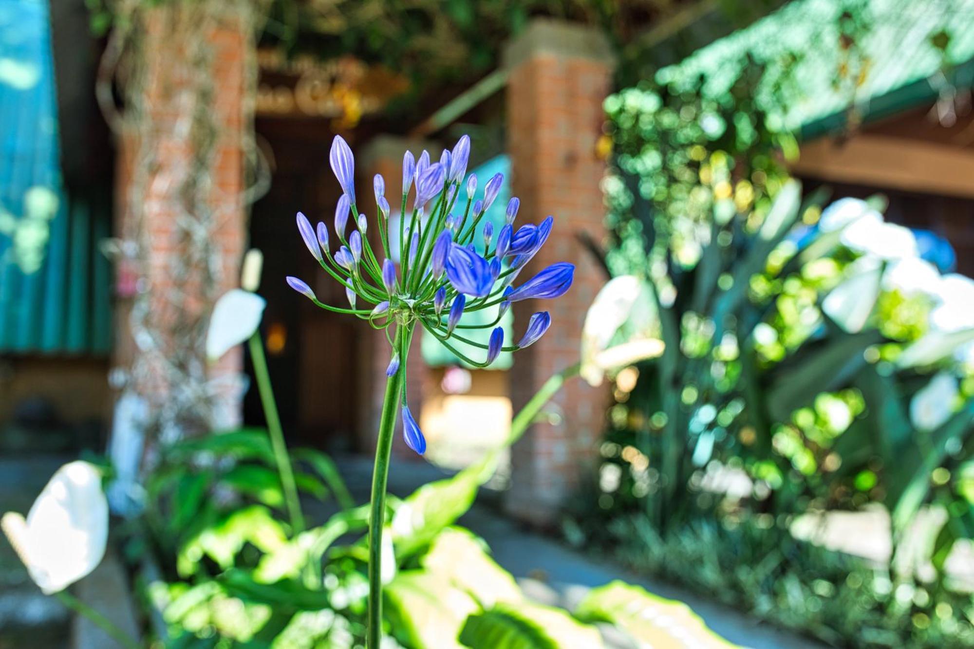 Hotel Villa Zurqui San Isidro  Dış mekan fotoğraf